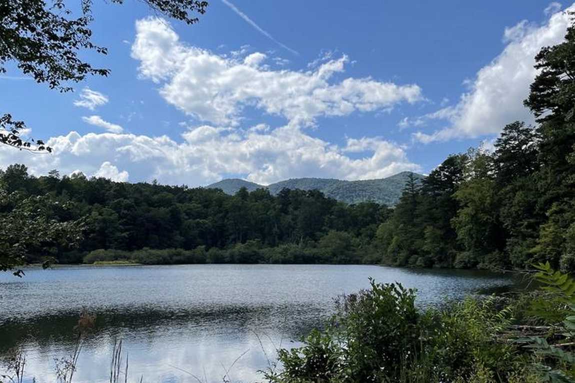 lake powhatan recreation area & campground photo 3