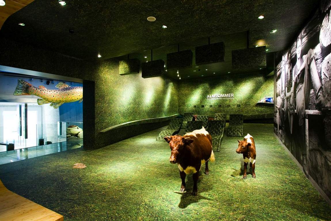 mittersill national park museum photo 5