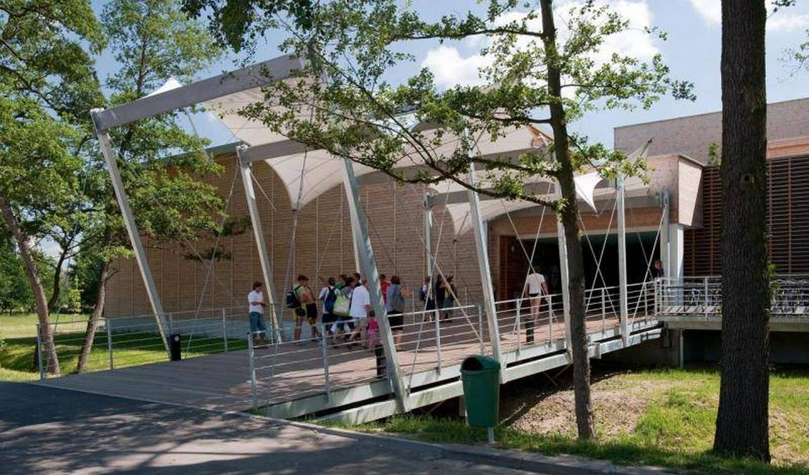 swimming pool flosna photo 4