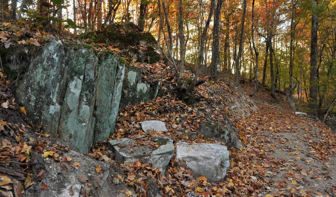four mile creek greenway photo 4