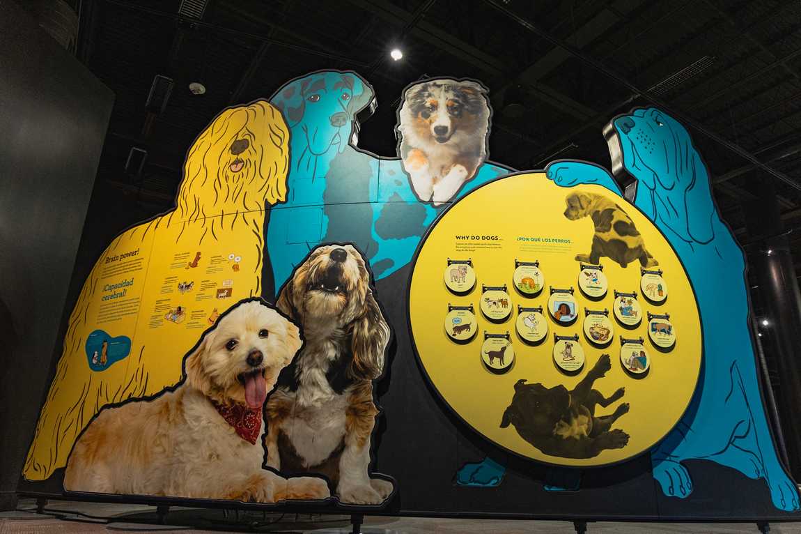 discovery place science photo 5