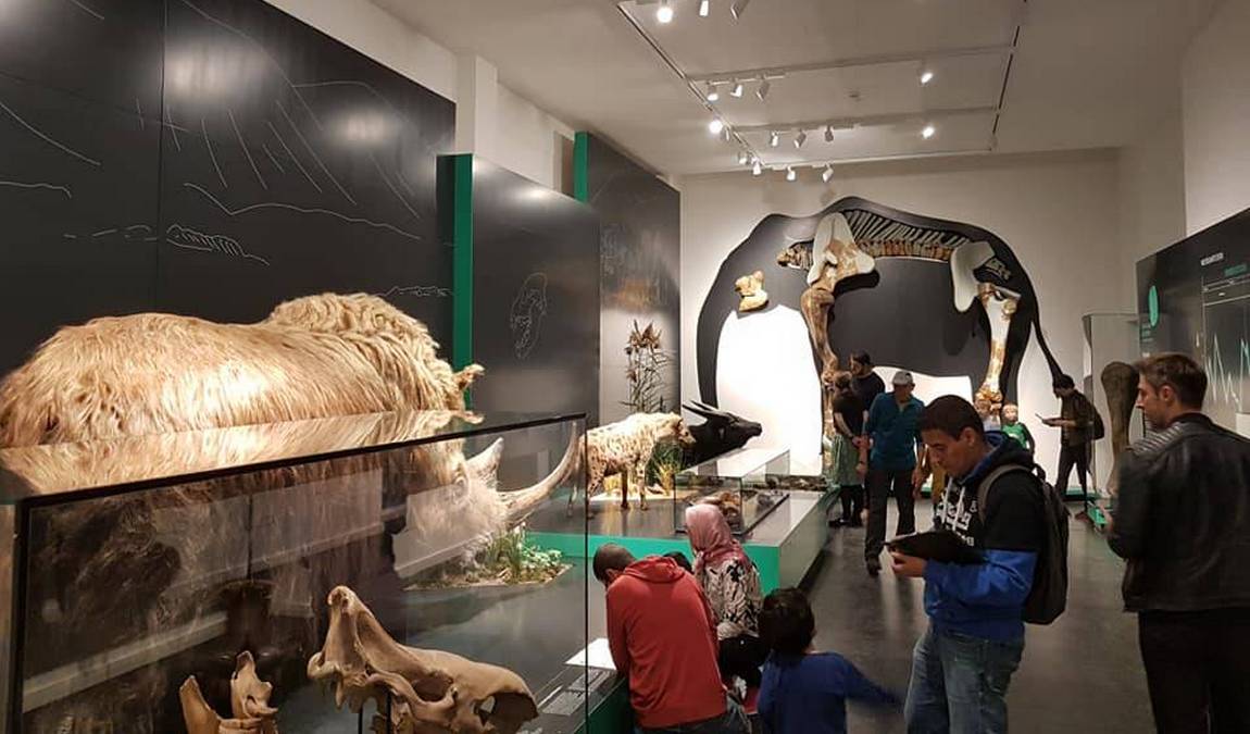 natural history museum photo 6