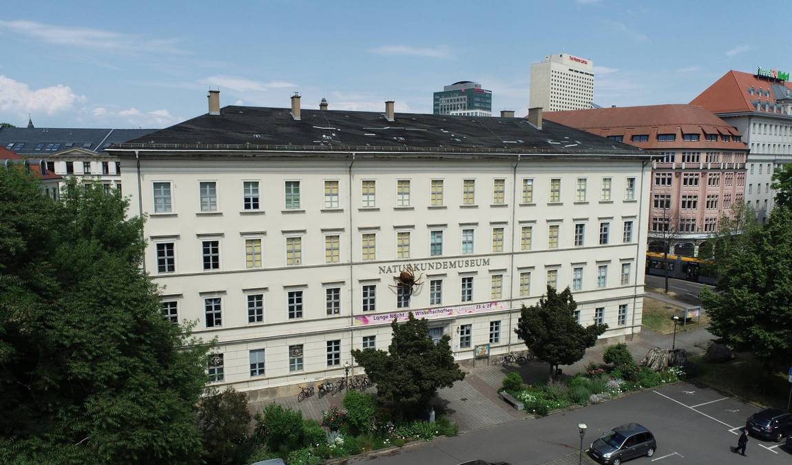 natural history museum photo 7