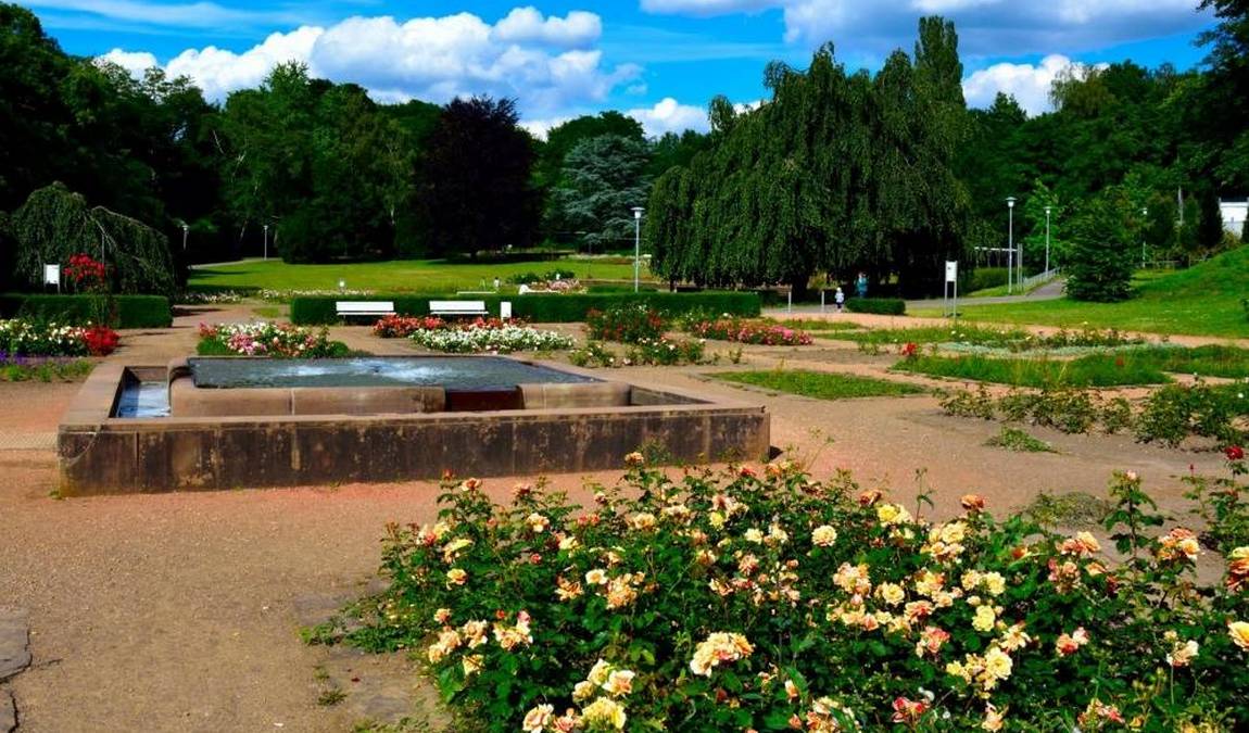 franco-german garden photo 4