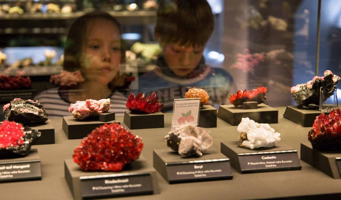 terra mineralia photo 8