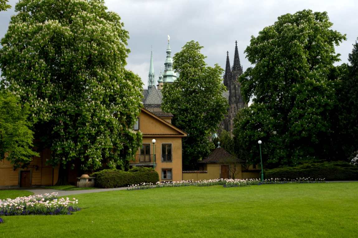 prague castle gardens photo 13