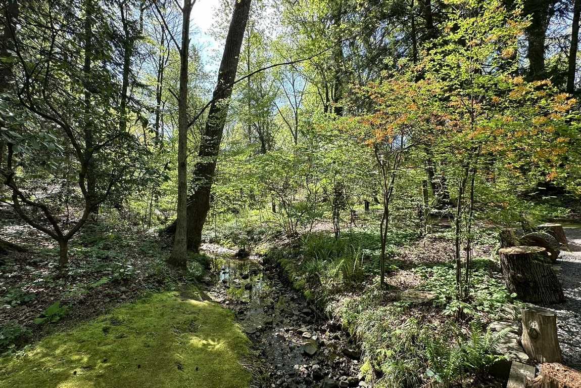 unc charlotte botanical gardens photo 1