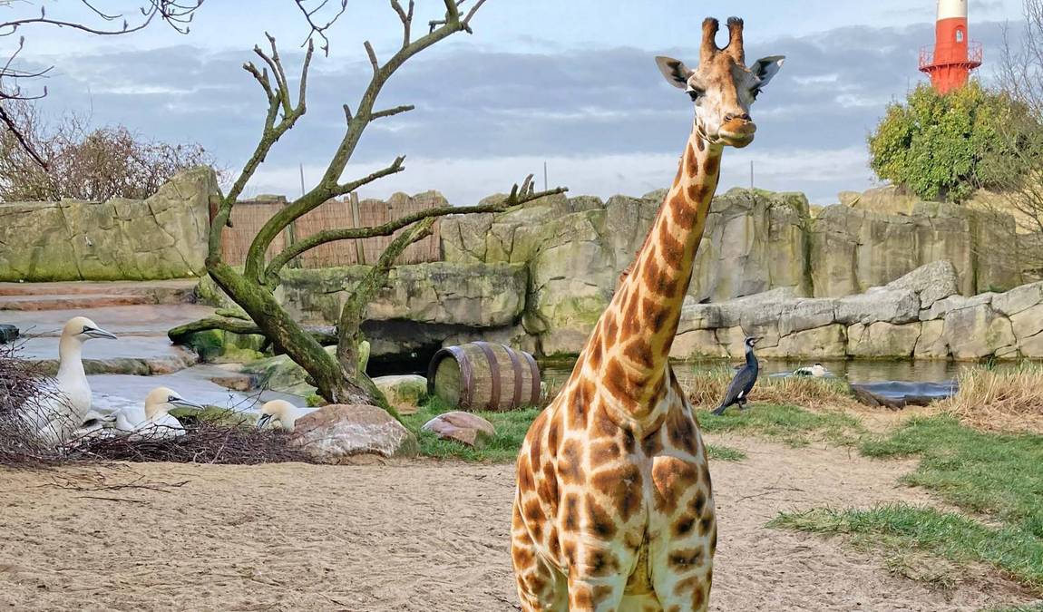 bremerhaven zoo photo 6