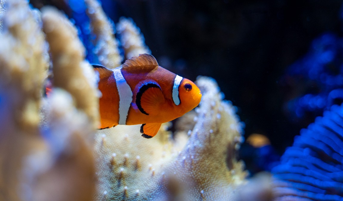 greensboro science center photo 1