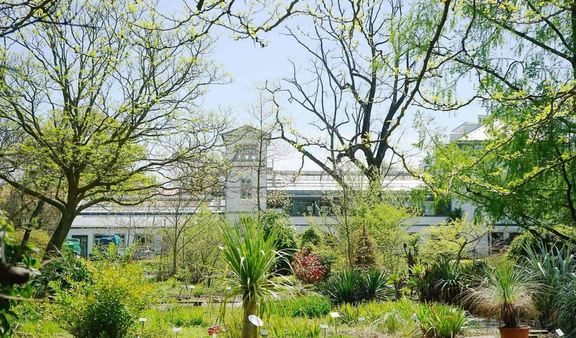 leipzig botanical garden photo 11