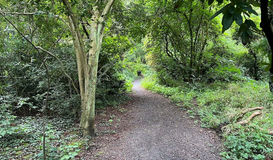 wildlife park dünnwald photo 3