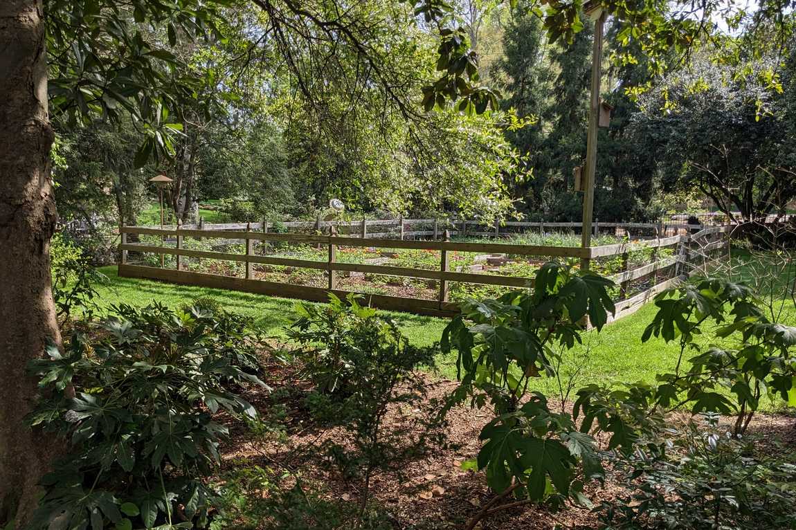 wing haven gardens and bird sanctuary photo 4