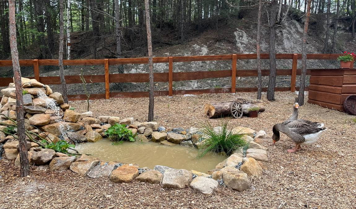 farmapark u toma photo 2