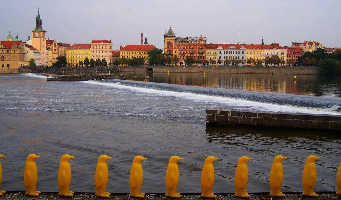 kampa island photo 9