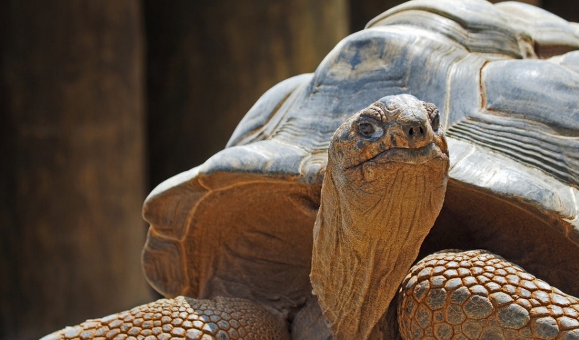 greensboro science center photo 5