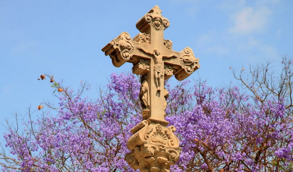 rubio i lluch gardens photo 4