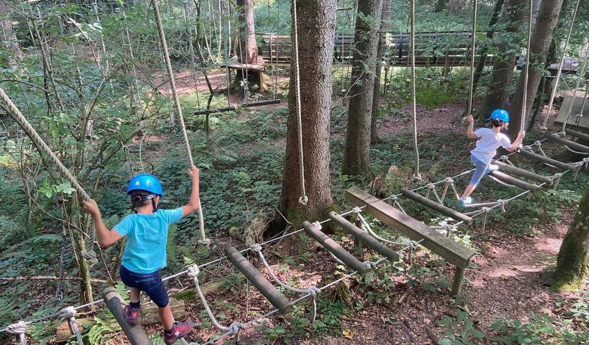 woodland climbing park faistenau photo 4