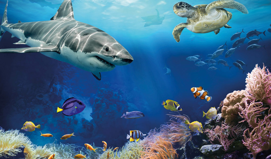 zoo schmiding photo 5