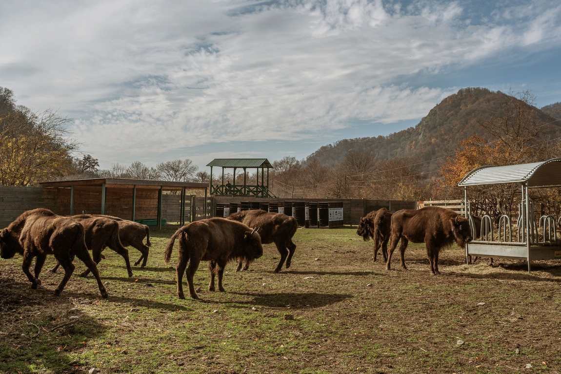 tierpark berlin friedrichsfelde photo 3