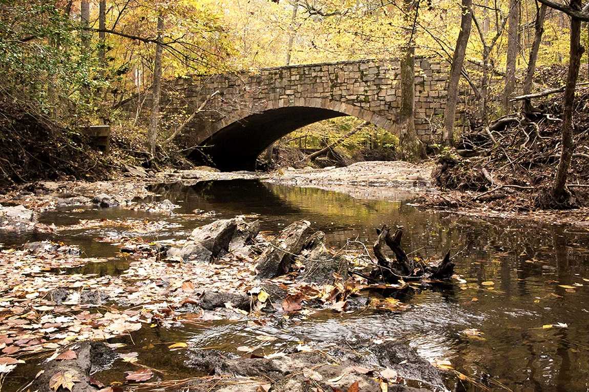 william b. umstead state park photo 6