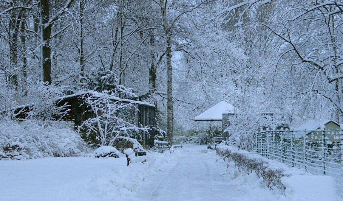 roehrensee animal park photo 5