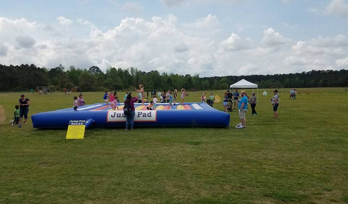 brock's berries & farm photo 6