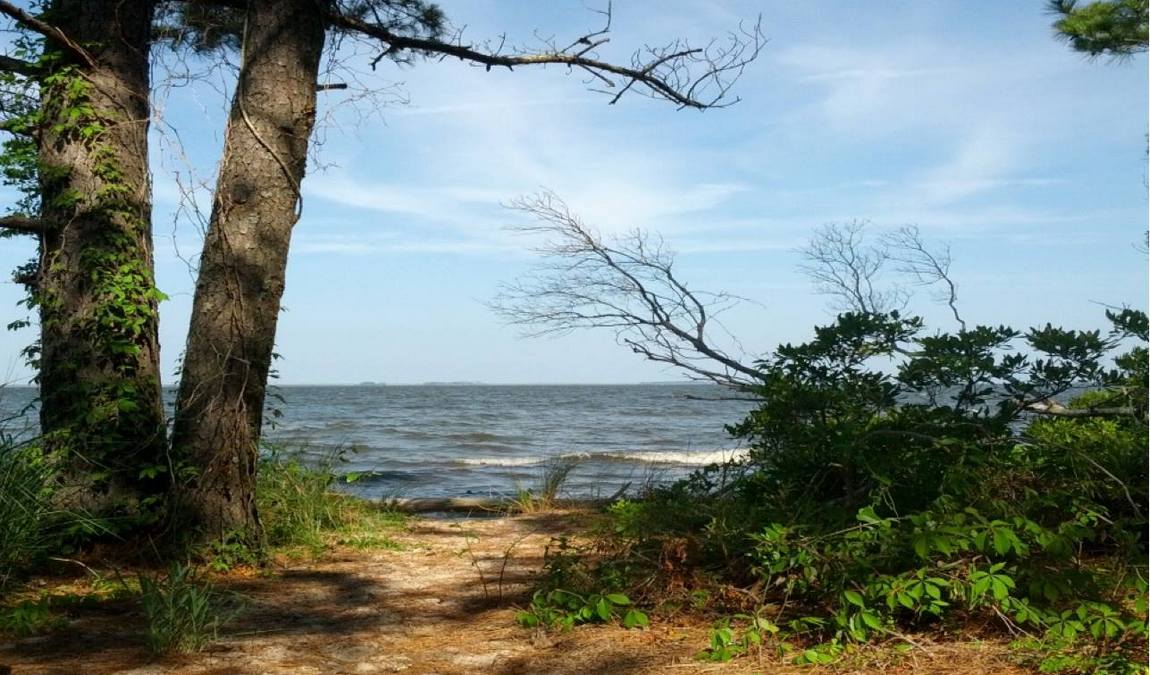 fort raleigh national historic site photo 4