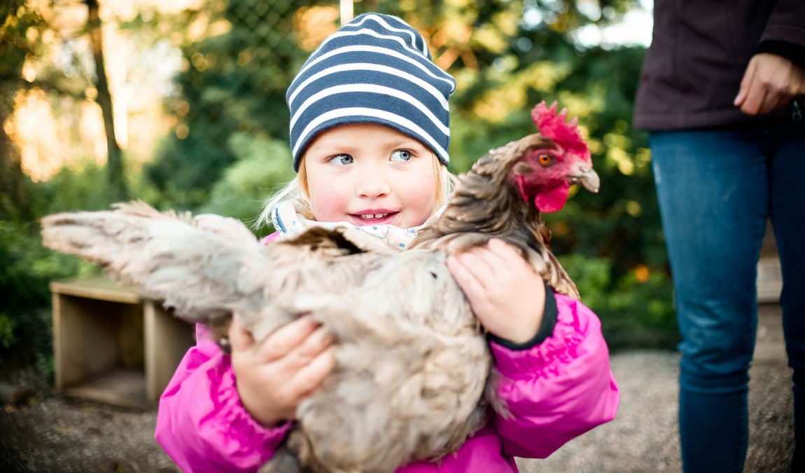 burgzwergen farm photo 5