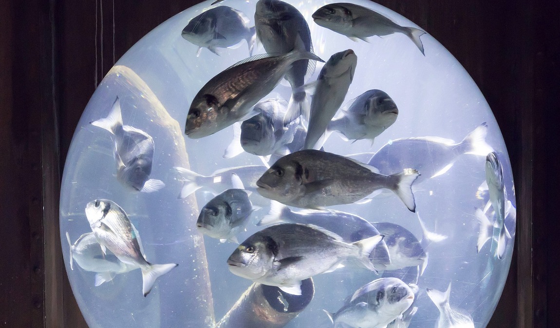 sea life speyer photo 6