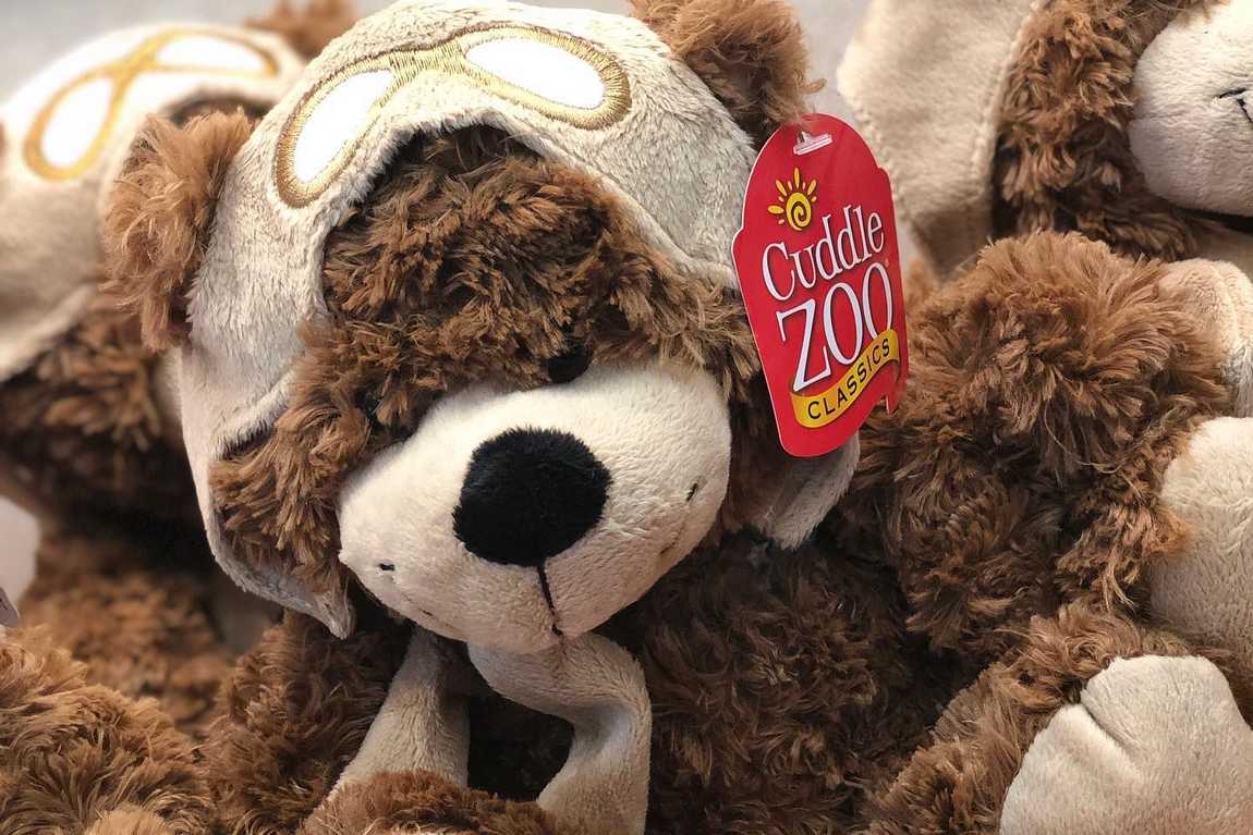 sullenberger aviation museum photo 5