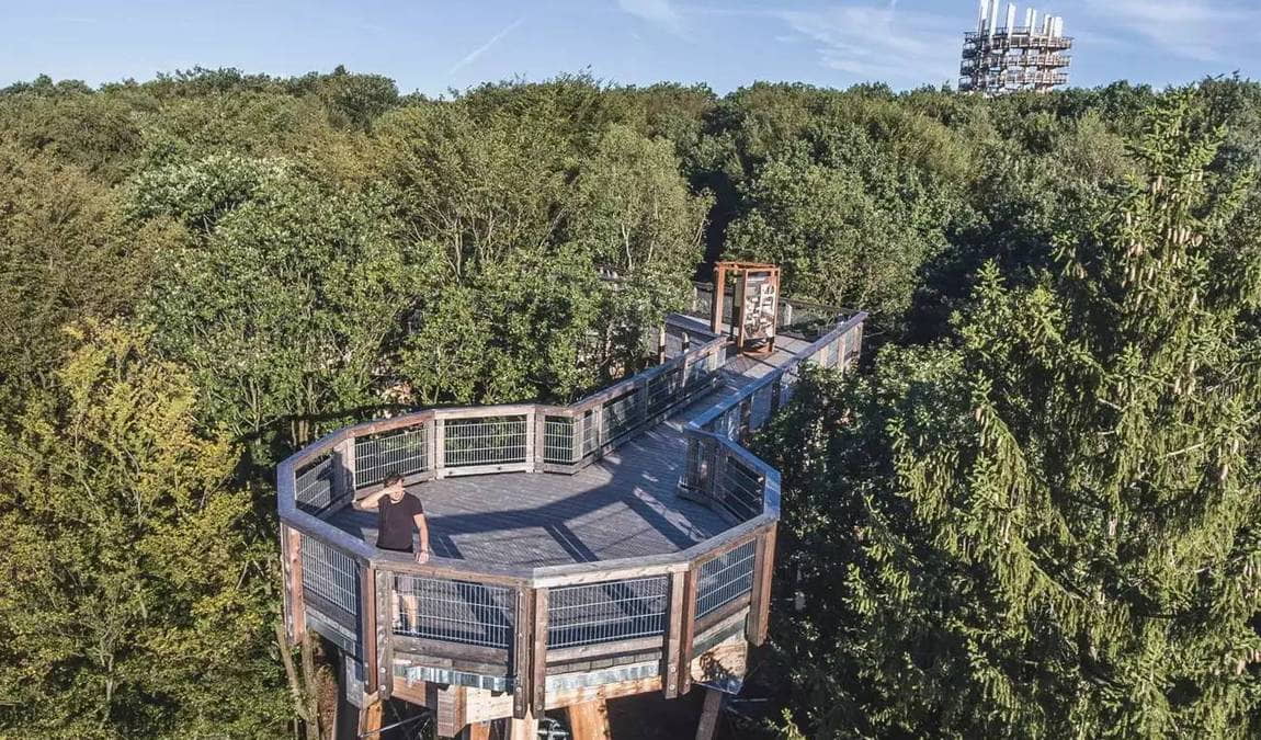 panarbora park photo 3