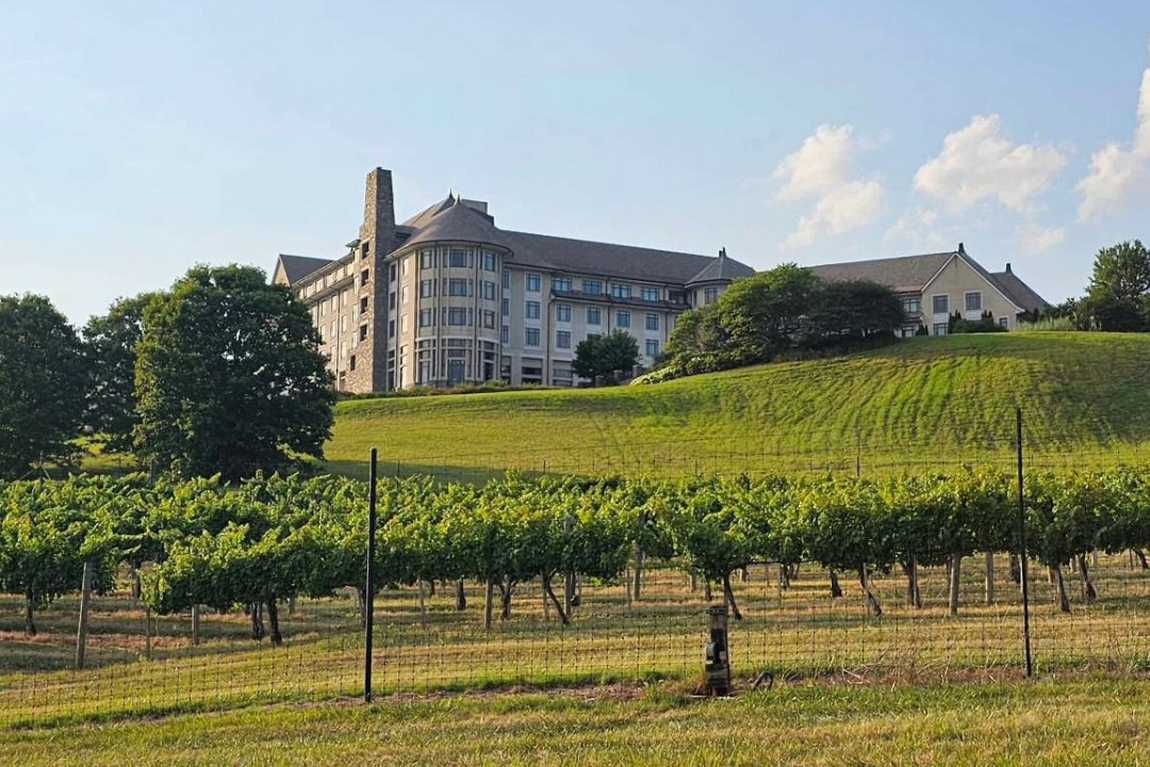 biltmore estate photo 5