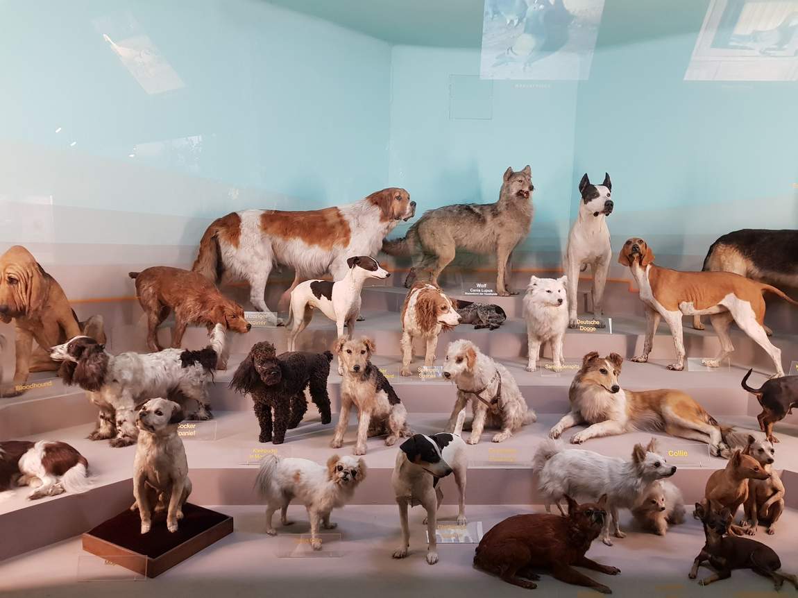 house of nature photo 5