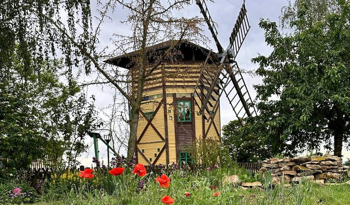 child and youth farm nickern photo 1