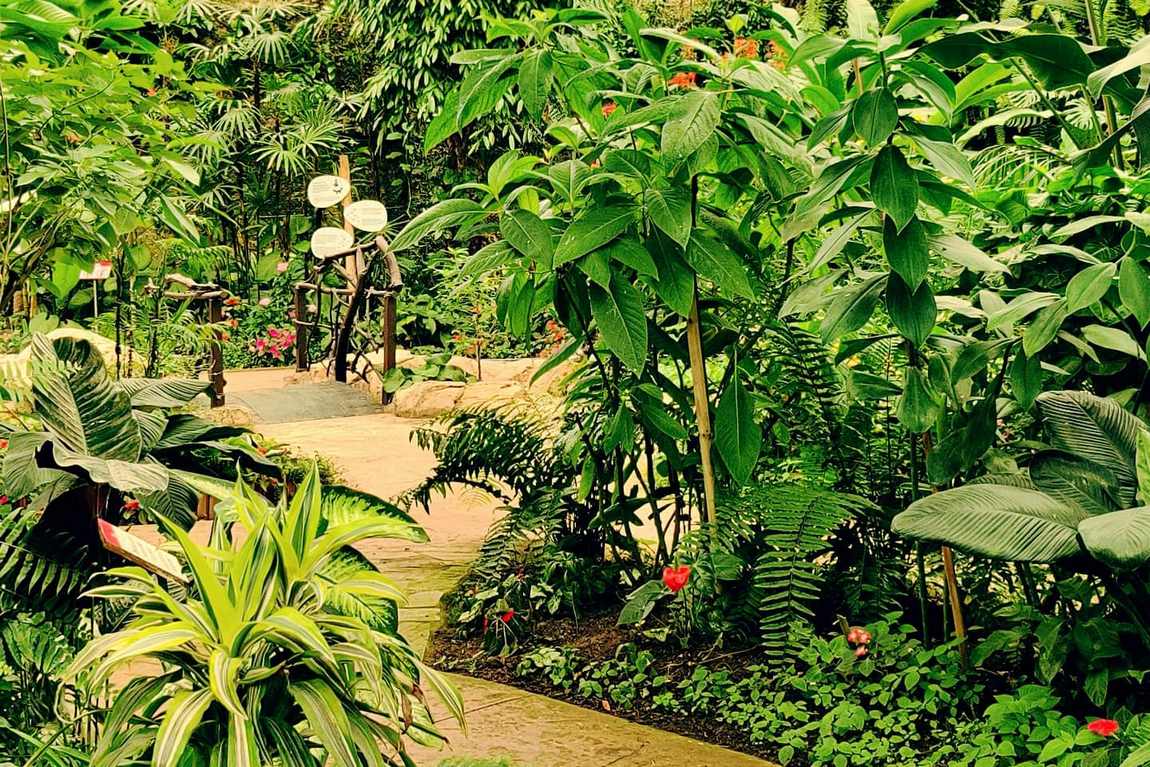 butterfly park of benalmadena photo 2