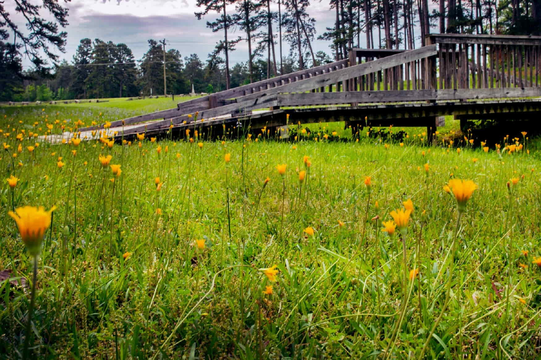 President James K. Polk State Historic Site photo 1