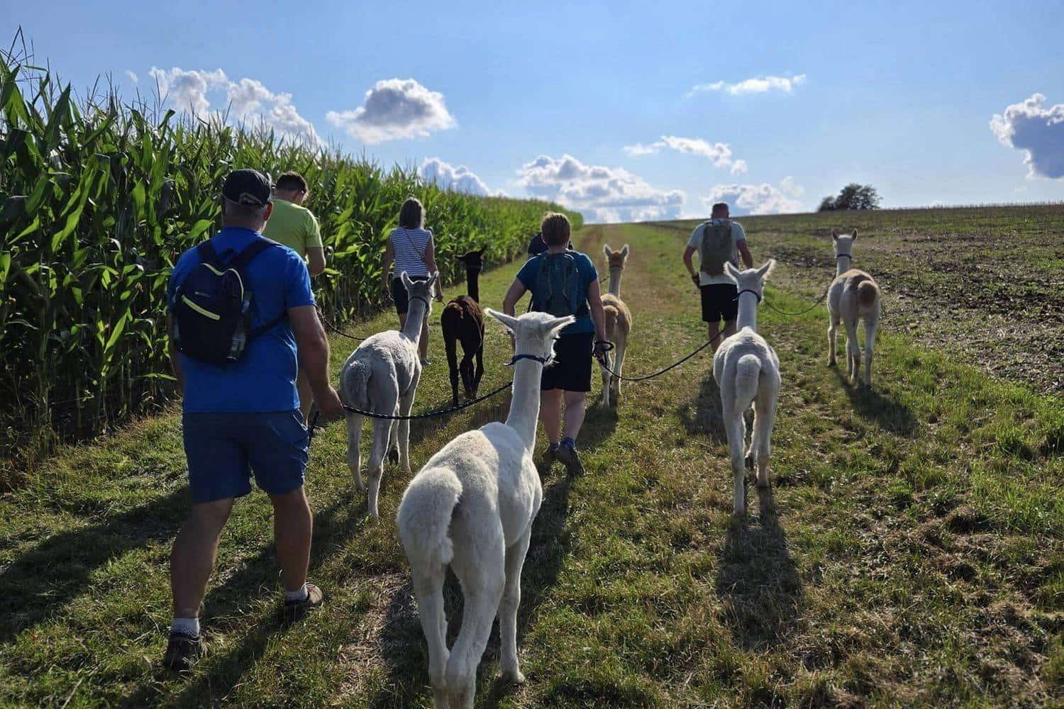 Voglsam Adventure Park photo 1