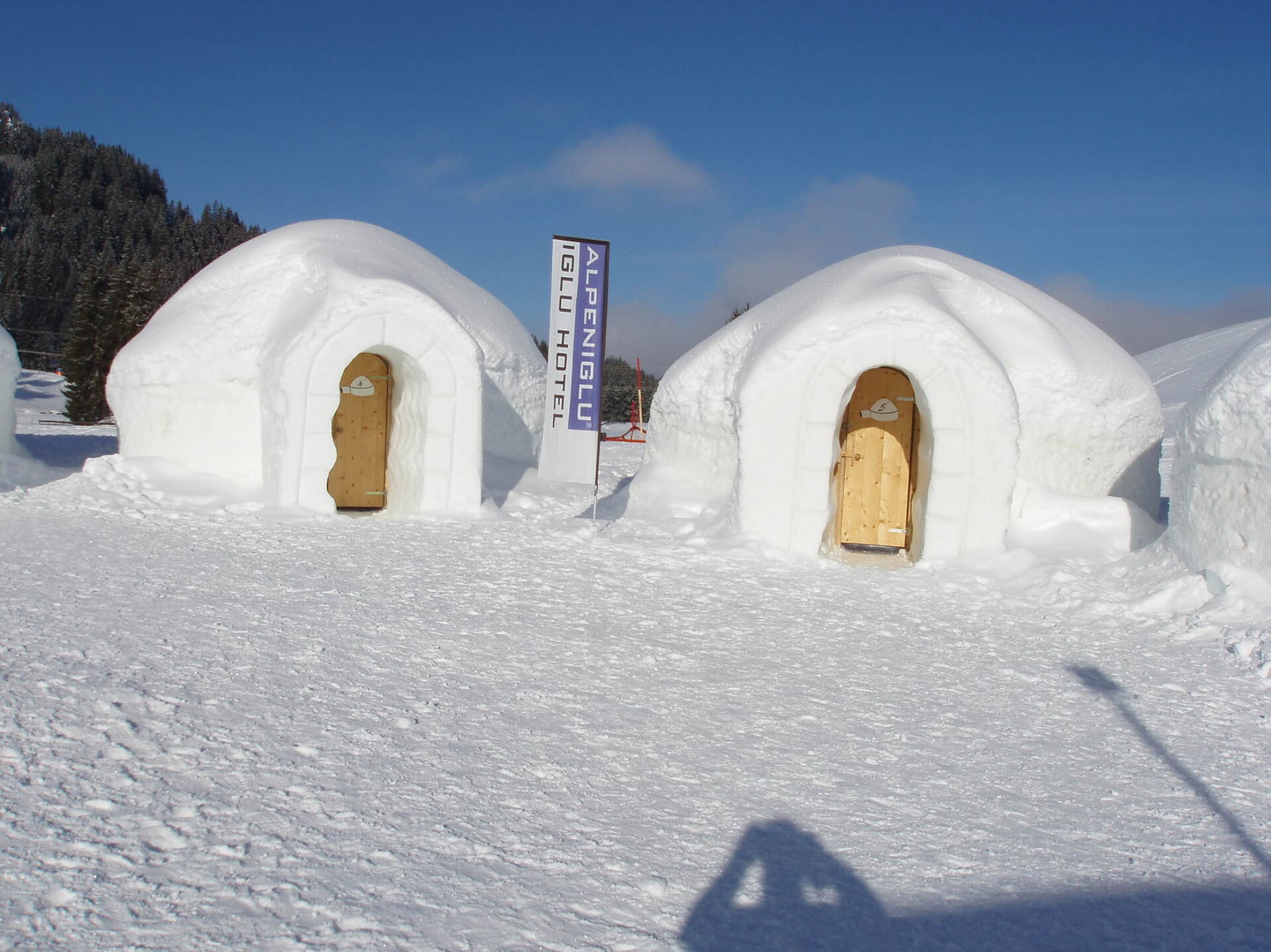 Alpeniglu
