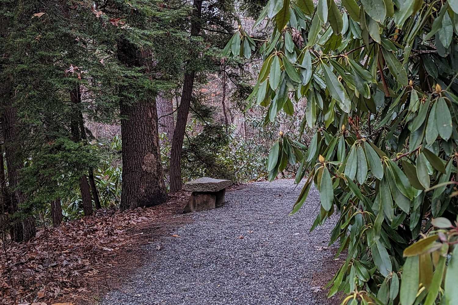 The North Carolina Arboretum photo 1