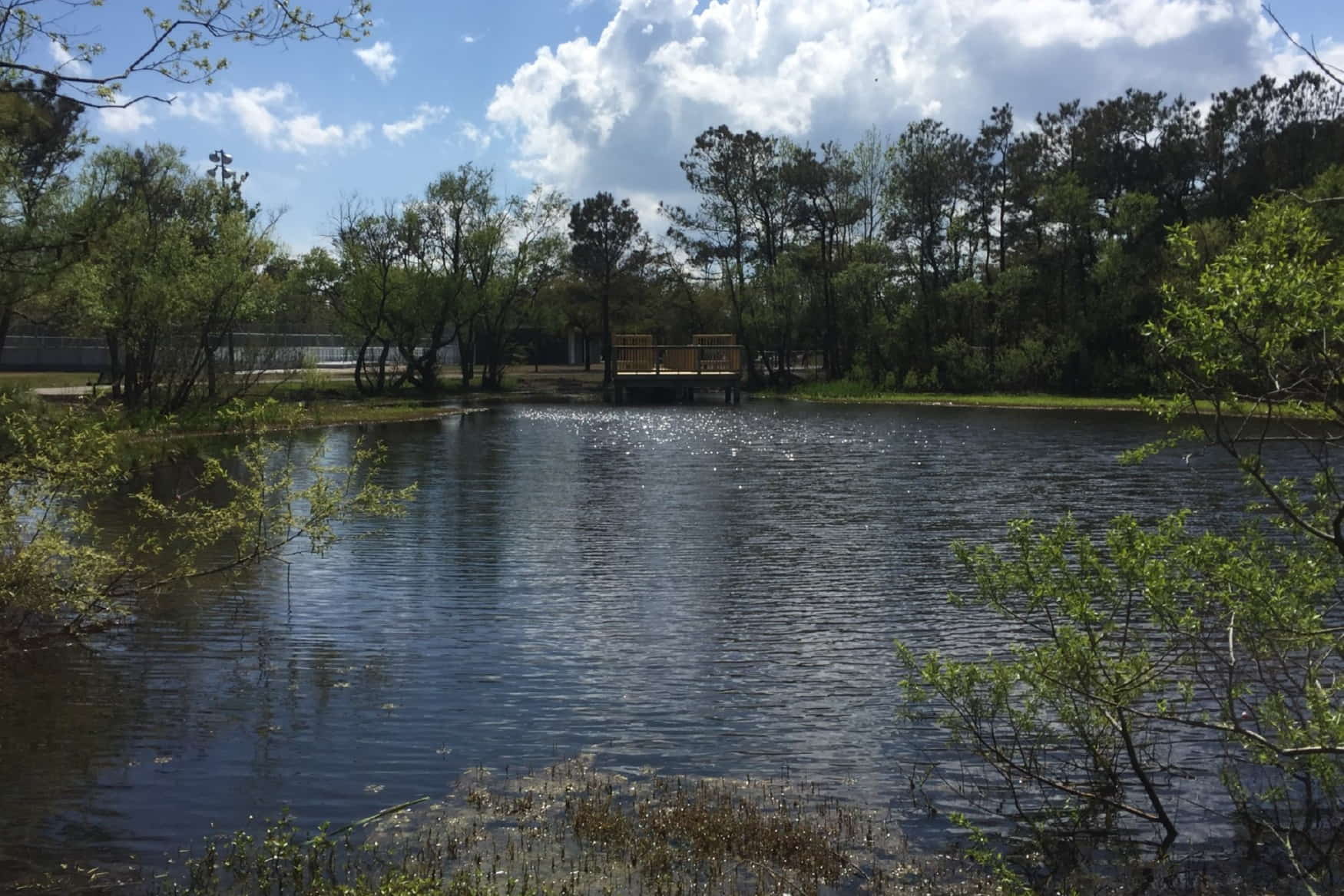 Aviation Park photo 1