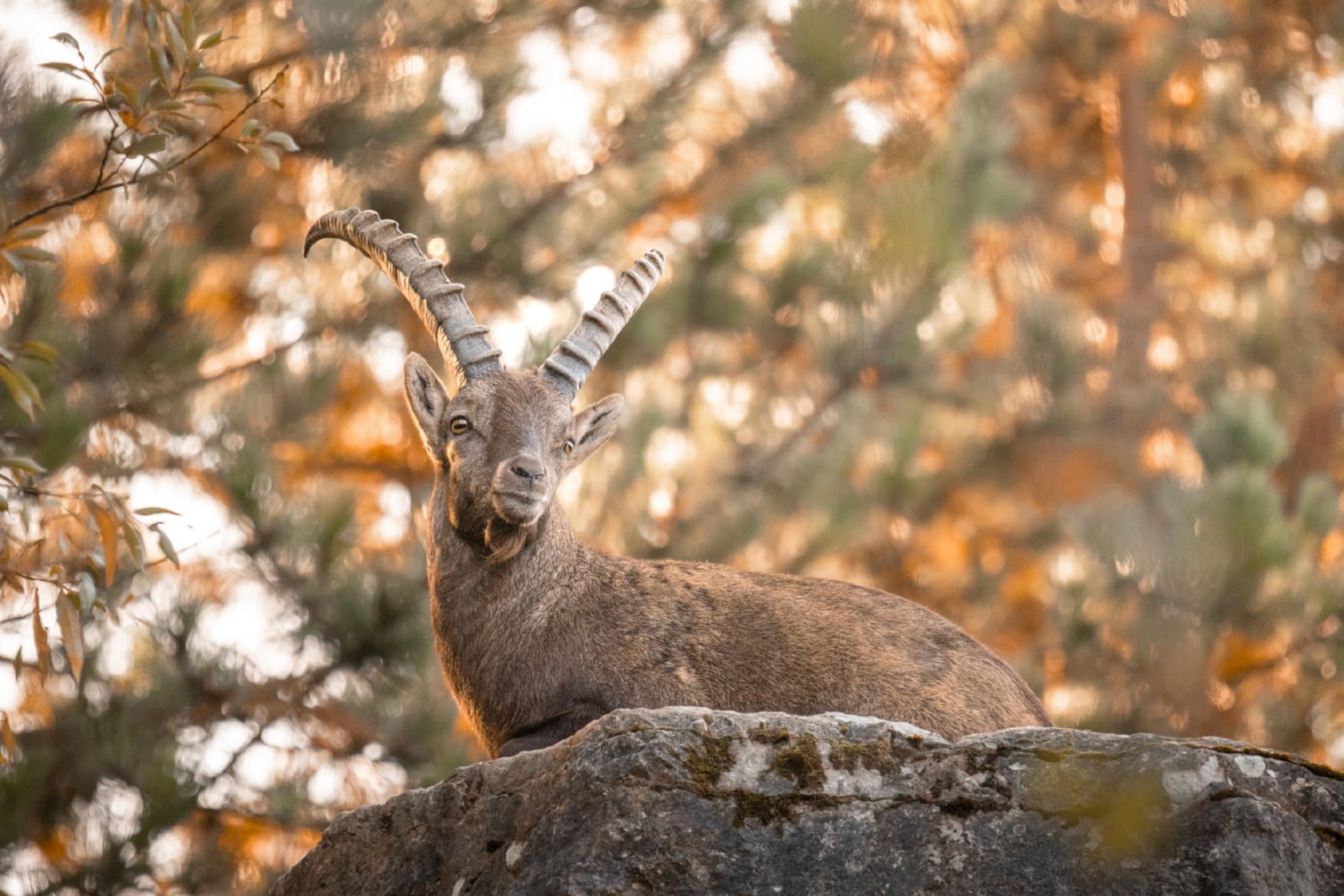 Palm Beach Nuremberg photo 1