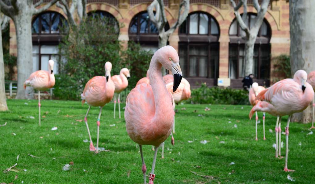Barcelona Zoo photo 1