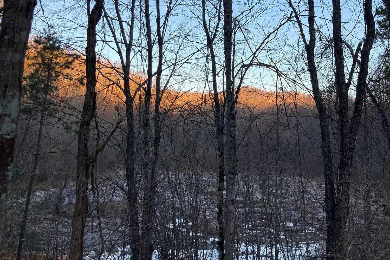 Lake Julian Park photo 1