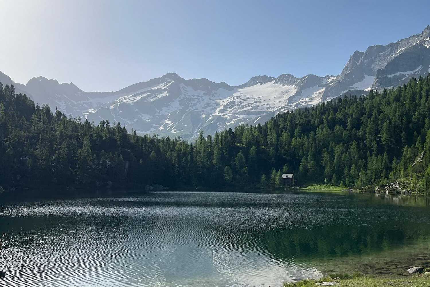 Zoo Herberstein photo 1