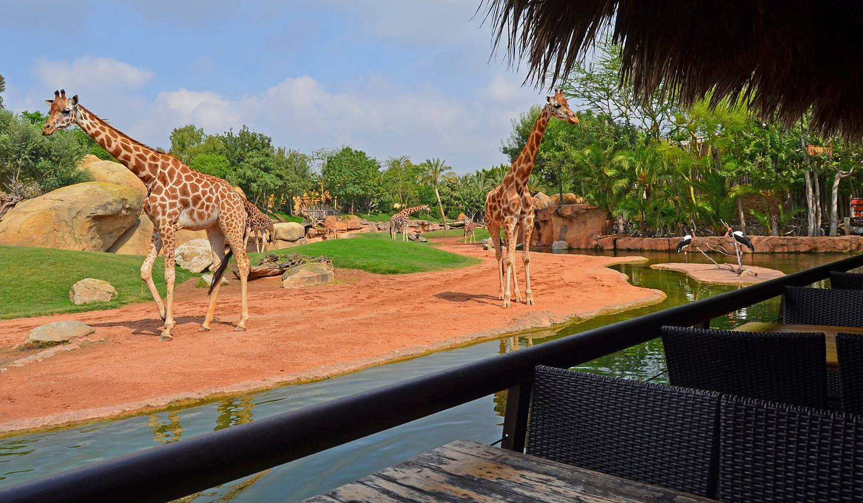 Bioparc Valencia photo 1