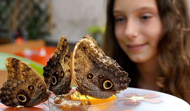 The Gardens of the World photo 1