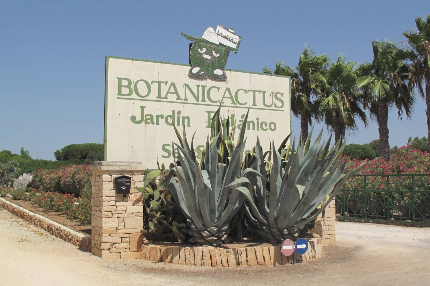 Botanicactus