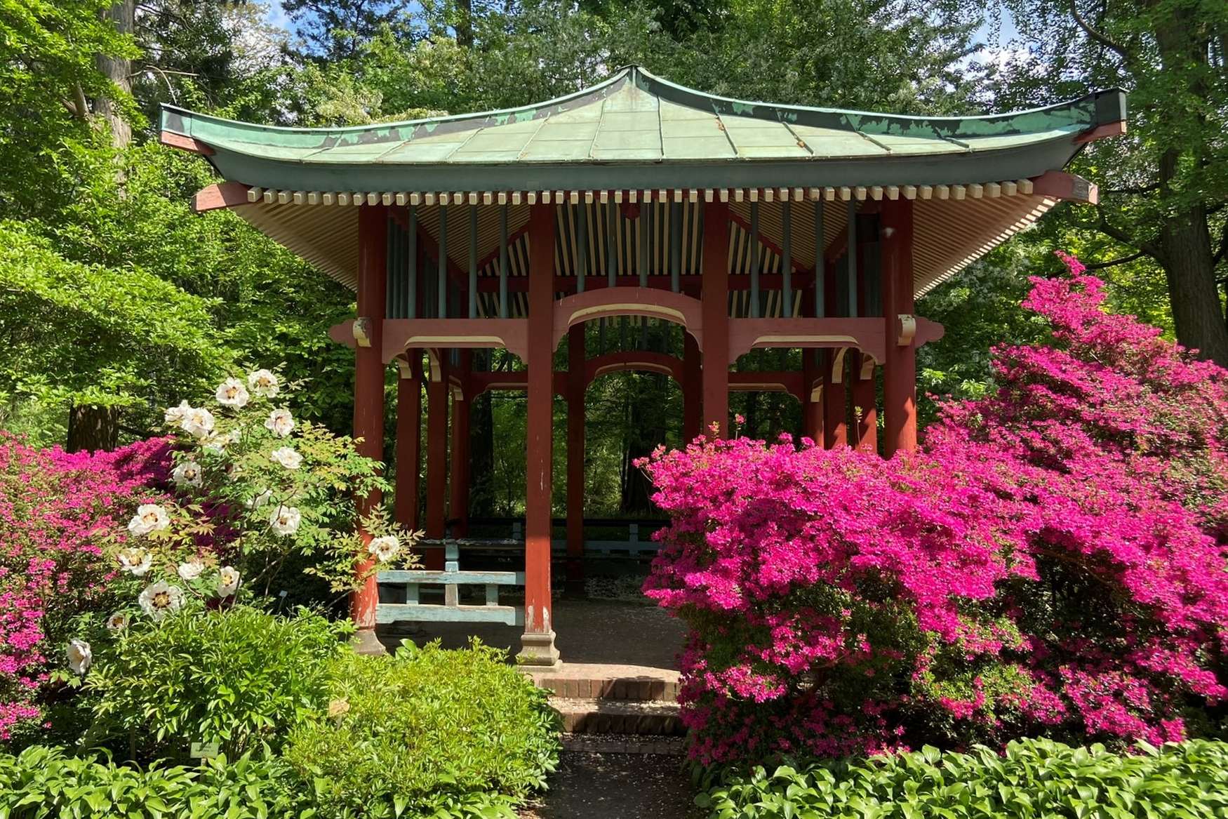 Botanical Garden of Berlin photo 1