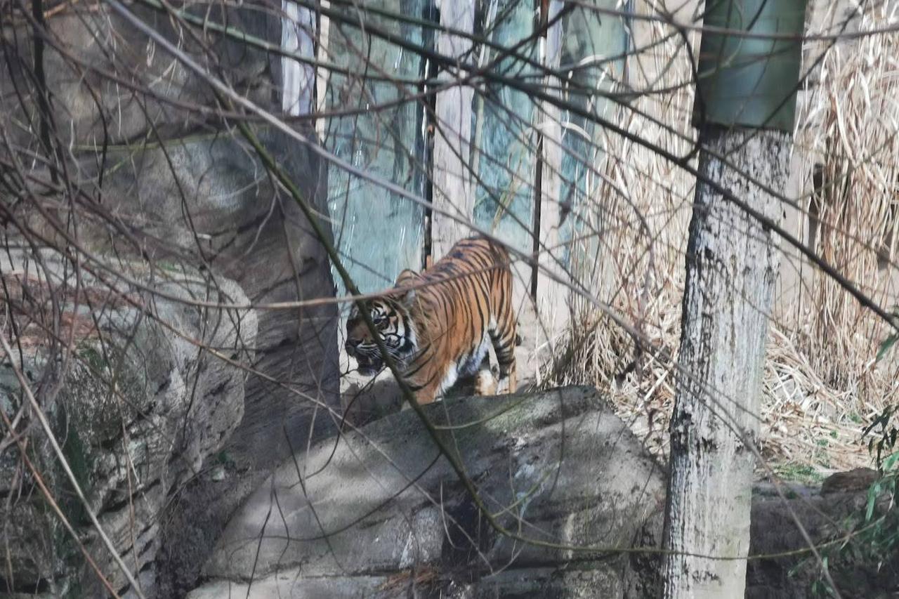 Safari Resort Hluboka u Borovan photo 1