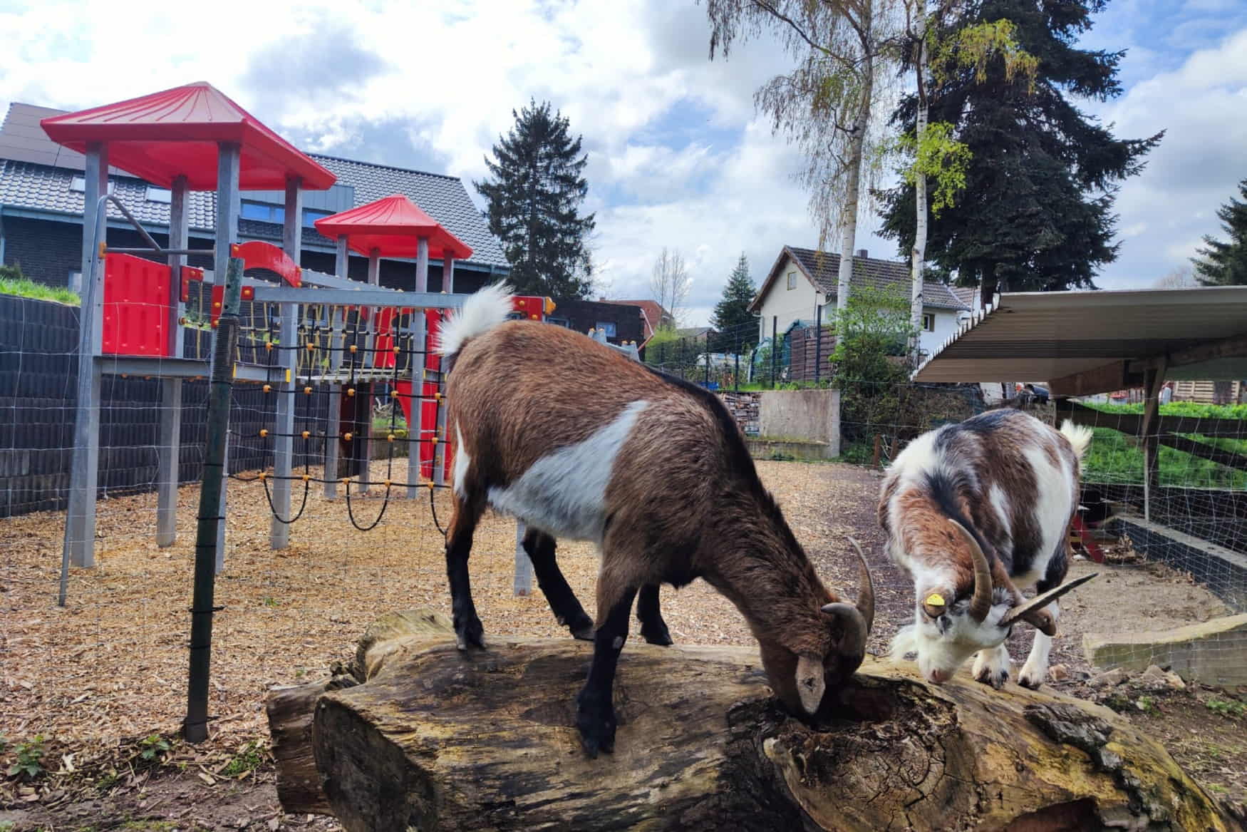 Noahs Ark Meerbusch photo 1